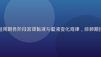 医学动画演示月经周期各阶段宫颈黏液与爱液变化规律，排卵期拉丝状分泌物特写