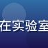 林若彤副教授，生殖医学专科医生，在实验室背景前展示研究成果，学术气质鲜明